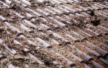 Glynogwr roof cleaning companies